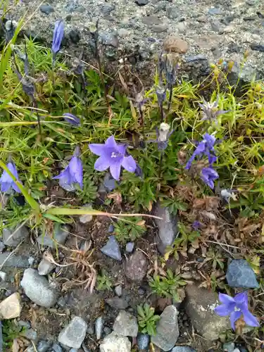 乗鞍本宮(岐阜県)