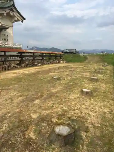 八幡神社の自然