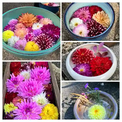 上野東照宮(東京都)