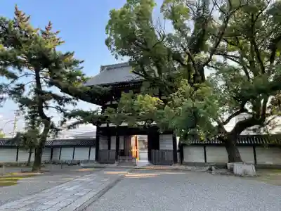 廣隆寺(京都府)