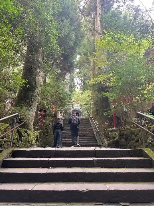 箱根神社(神奈川県)