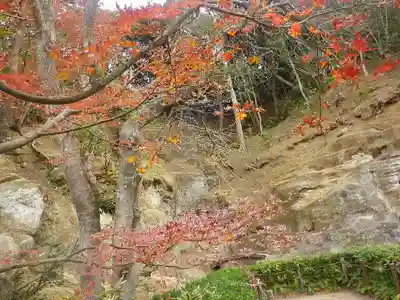 瑞泉寺のその他建物