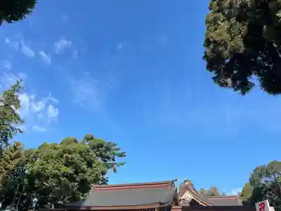 亀ケ池八幡宮のその他建物