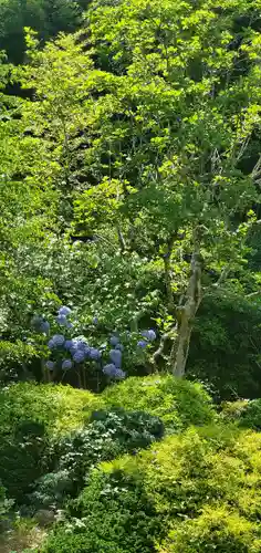 久安寺(大阪府)