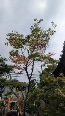 香雪院(京都府)