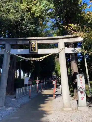 薬師寺八幡宮(栃木県)
