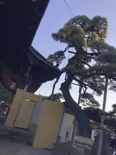 題経寺（柴又帝釈天）(東京都)