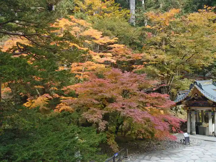 日光山輪王寺 大猷院の自然
