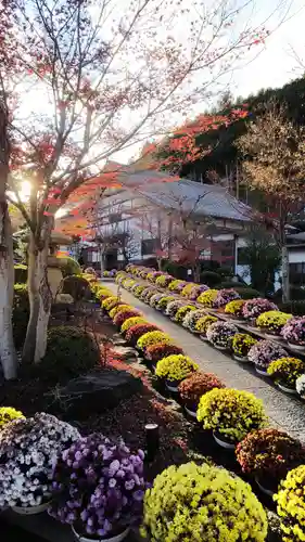 宝徳寺の建物その他