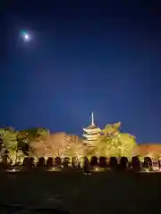 東寺（教王護国寺）(京都府)