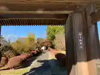 善長寺の山門・神門