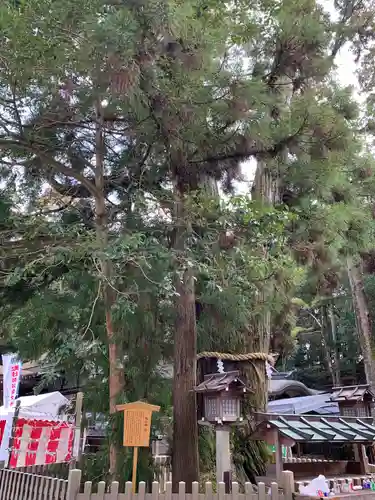 大神神社(奈良県)