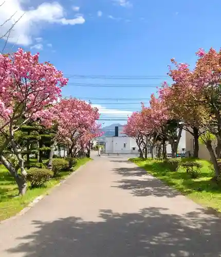 伊達神社の自然