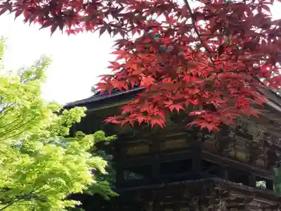 円成寺(奈良県)