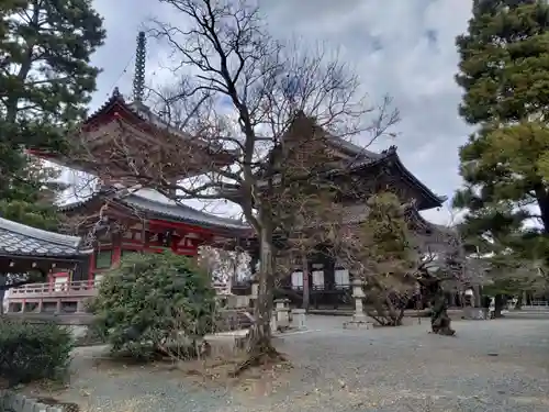 知恩院(京都府)