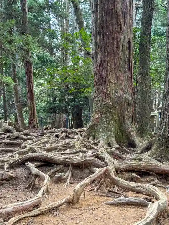 鞍馬寺の{uncategorized: "未分類", other: "その他", undefined: "問題あり", building: "その他建物", grave: "お墓", sacred_gate: "鳥居", guardian: "狛犬", statue: "像", buddha: "仏像", history: "歴史", nature: "自然", garden: "庭園", animal: "動物", pagoda: "塔", temizu: "手水舎", mountain_gate: "山門・神門", sanctuary: "本殿・本堂", subordinate: "末社・摂社", art: "芸術", scenery: "景色", jizo: "地蔵", ema: "絵馬", goshuin: "御朱印", omikuji: "おみくじ", items: "授与品その他", amulet: "お守り", goshuincho: "御朱印帳", eats: "食事", festival: "お祭り", votive_dance: "神楽", shichigosan: "七五三参", wedding: "結婚式", experience: "体験その他", initially: "初詣", around: "周辺", anti_infection: "感染症対策"}