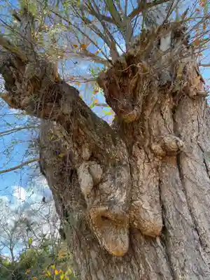 西福寺(千葉県)