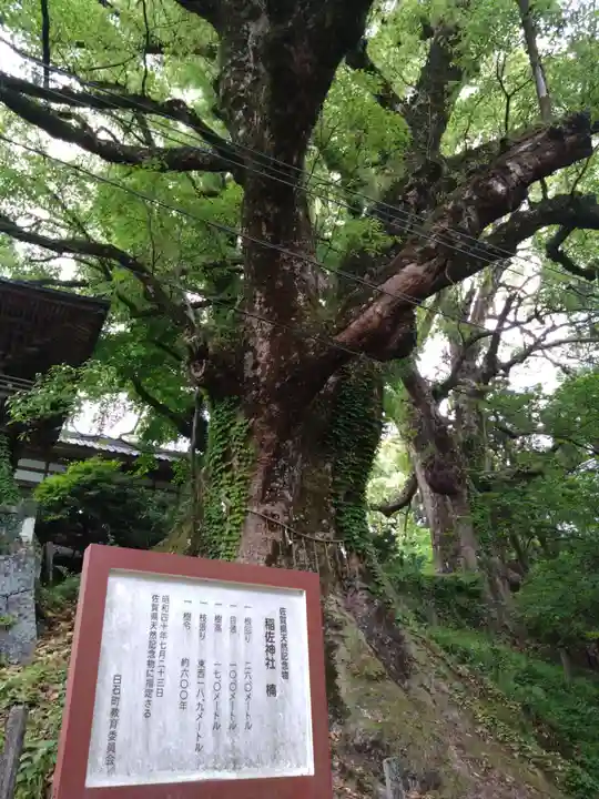 稲佐神社(佐賀県)