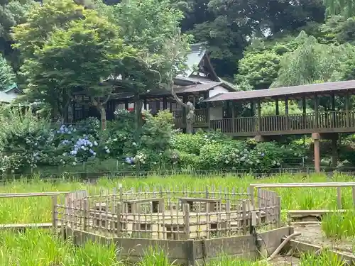 本土寺(千葉県)