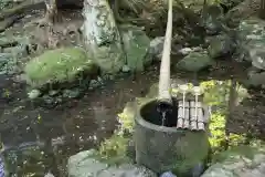 若狭彦神社（上社）の手水