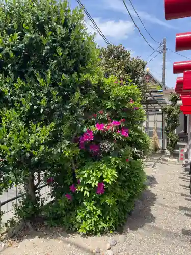 宇佐稲荷大明神の{uncategorized: "未分類", other: "その他", undefined: "問題あり", building: "その他建物", grave: "お墓", sacred_gate: "鳥居", guardian: "狛犬", statue: "像", buddha: "仏像", history: "歴史", nature: "自然", garden: "庭園", animal: "動物", pagoda: "塔", temizu: "手水舎", mountain_gate: "山門・神門", sanctuary: "本殿・本堂", subordinate: "末社・摂社", art: "芸術", scenery: "景色", jizo: "地蔵", ema: "絵馬", goshuin: "御朱印", omikuji: "おみくじ", items: "授与品その他", amulet: "お守り", goshuincho: "御朱印帳", eats: "食事", festival: "お祭り", votive_dance: "神楽", shichigosan: "七五三参", wedding: "結婚式", experience: "体験その他", initially: "初詣", around: "周辺", anti_infection: "感染症対策"}