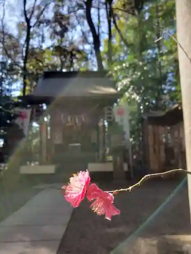 大宮八幡宮の自然