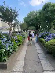 白山神社の建物その他