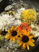 新川皇大神社の手水舎