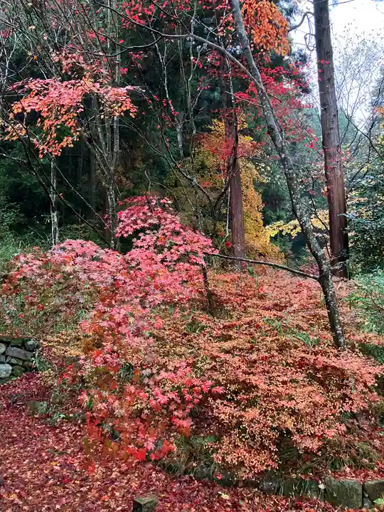 大国寺(兵庫県)