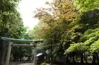 神明神社(神明皇大神宮)の鳥居
