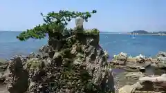 森戸大明神（森戸神社）の景色