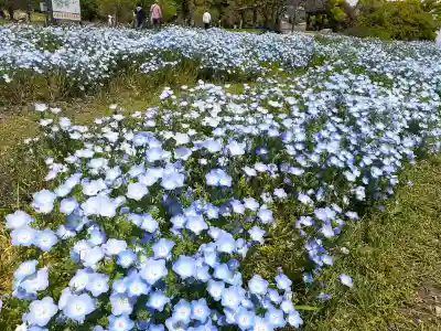 宮前霹靂神社(奈良県)