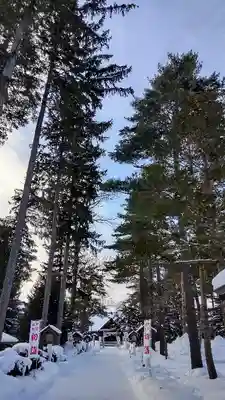 富良野神社の初詣