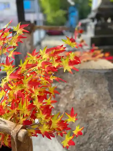 阿邪訶根神社(福島県)