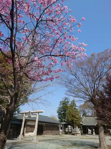 子聖神社(神奈川県)