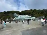 南蔵院の{uncategorized: "未分類", other: "その他", undefined: "問題あり", building: "その他建物", grave: "お墓", sacred_gate: "鳥居", guardian: "狛犬", statue: "像", buddha: "仏像", history: "歴史", nature: "自然", garden: "庭園", animal: "動物", pagoda: "塔", temizu: "手水舎", mountain_gate: "山門・神門", sanctuary: "本殿・本堂", subordinate: "末社・摂社", art: "芸術", scenery: "景色", jizo: "地蔵", ema: "絵馬", goshuin: "御朱印", omikuji: "おみくじ", items: "授与品その他", amulet: "お守り", goshuincho: "御朱印帳", eats: "食事", festival: "お祭り", votive_dance: "神楽", shichigosan: "七五三参", wedding: "結婚式", experience: "体験その他", initially: "初詣", around: "周辺", anti_infection: "感染症対策"}