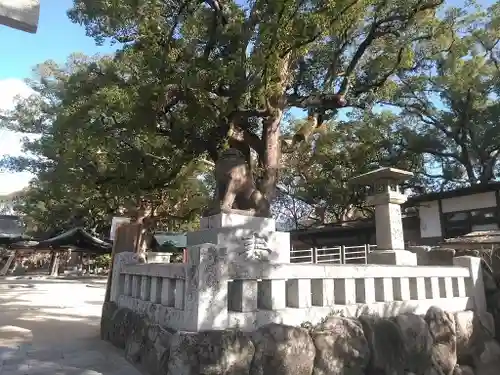 宇美八幡宮の狛犬