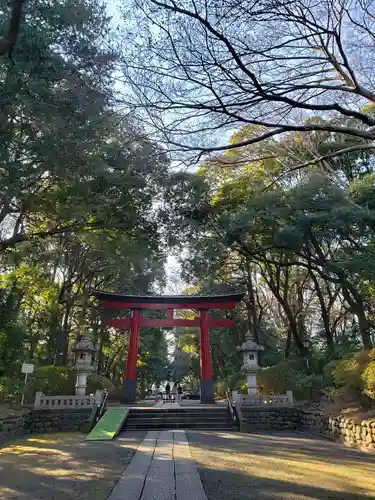 大宮八幡宮の鳥居