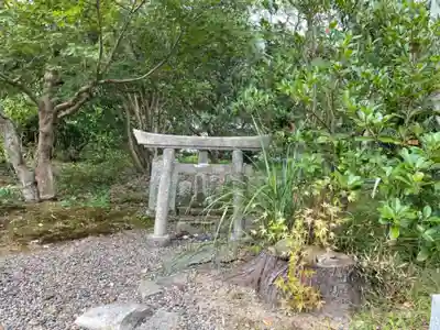 櫻井子安神社の鳥居