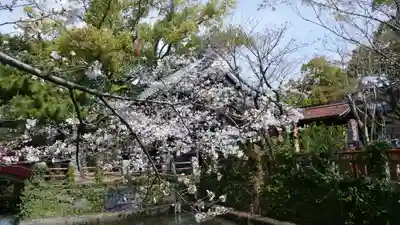 牛嶋天満宮の自然