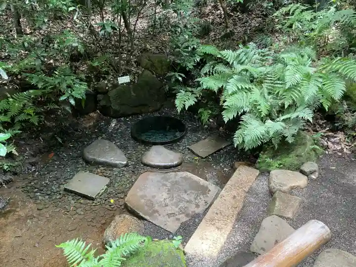 明治神宮(東京都)