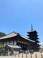 興福寺(奈良県)