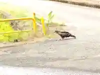 片岸神社(福井県)