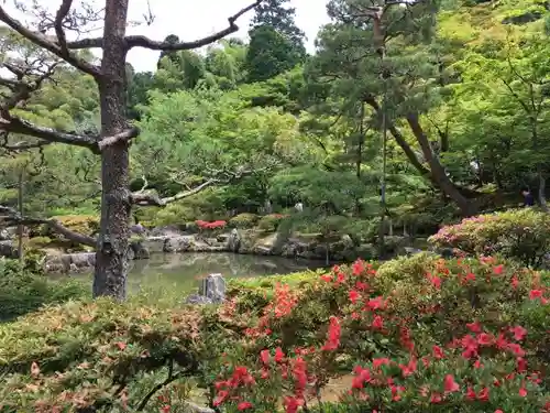 慈照寺（慈照禅寺・銀閣寺）の庭園