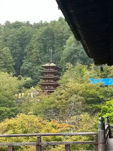 長谷寺(奈良県)