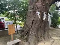 芳川神社(埼玉県)