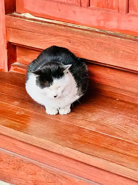 明智寺の{uncategorized: "未分類", other: "その他", undefined: "問題あり", building: "その他建物", grave: "お墓", sacred_gate: "鳥居", guardian: "狛犬", statue: "像", buddha: "仏像", history: "歴史", nature: "自然", garden: "庭園", animal: "動物", pagoda: "塔", temizu: "手水舎", mountain_gate: "山門・神門", sanctuary: "本殿・本堂", subordinate: "末社・摂社", art: "芸術", scenery: "景色", jizo: "地蔵", ema: "絵馬", goshuin: "御朱印", omikuji: "おみくじ", items: "授与品その他", amulet: "お守り", goshuincho: "御朱印帳", eats: "食事", festival: "お祭り", votive_dance: "神楽", shichigosan: "七五三参", wedding: "結婚式", experience: "体験その他", initially: "初詣", around: "周辺", anti_infection: "感染症対策"}