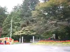 雲巌寺(栃木県)