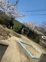 塩釜神社の自然