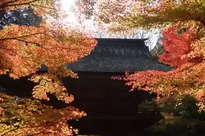 大矢田神社(岐阜県)